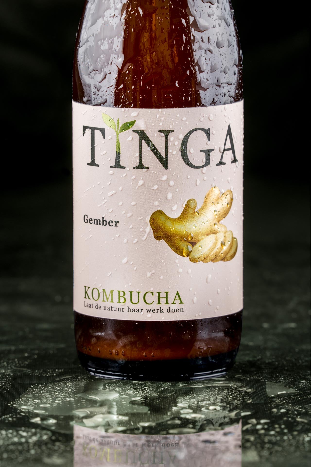 Kombucha - Gember