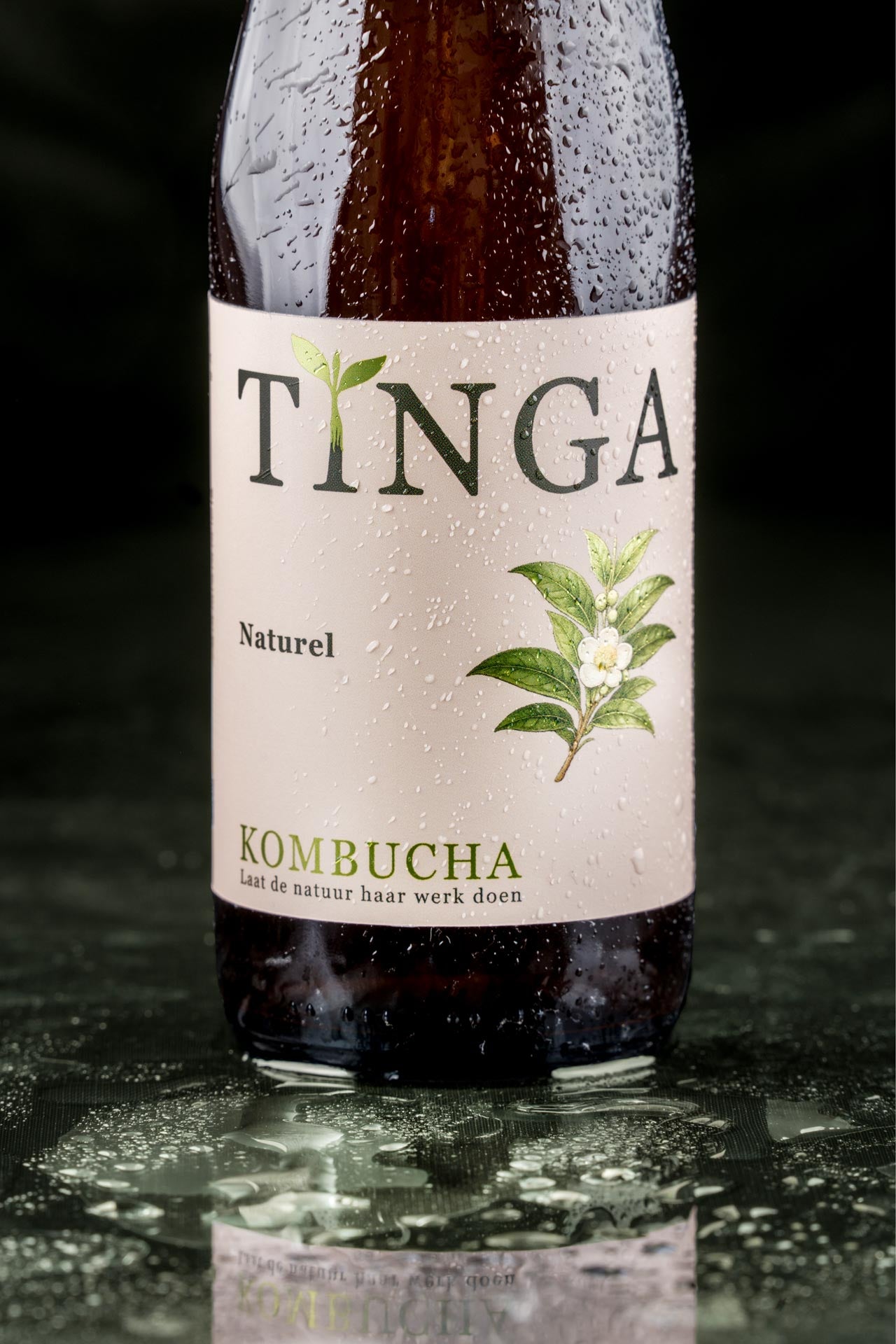 Kombucha - Naturel