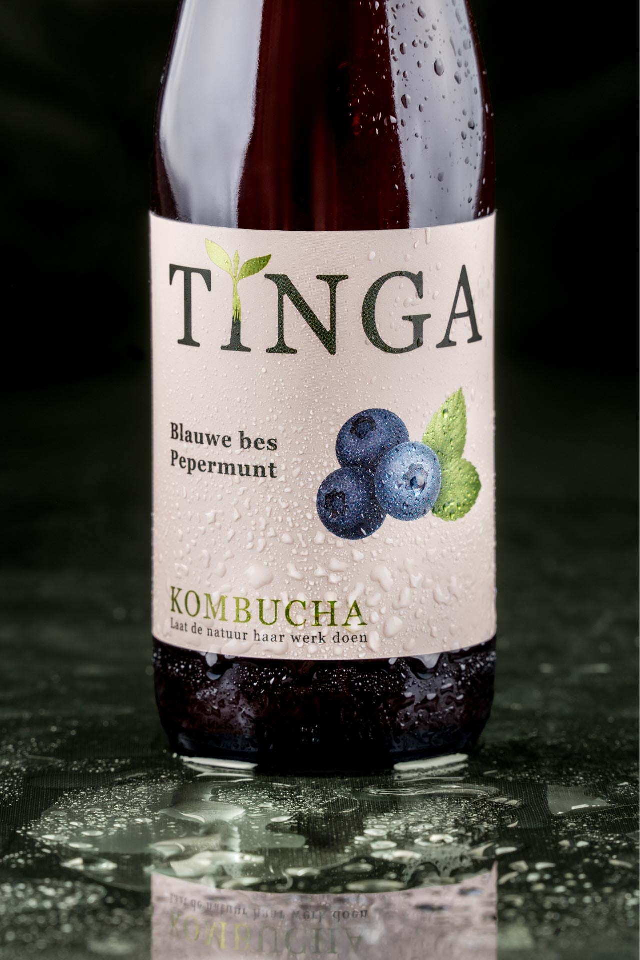 Kombucha - Blauwe bes & Pepermunt